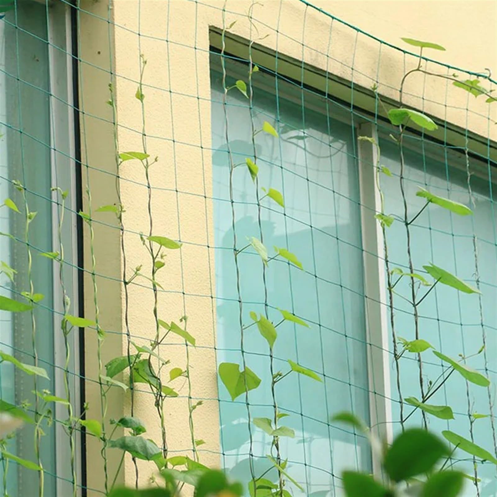 Rete da arrampicata da giardino, 1,8 m x 3,6 m, supporto per fiori, verdure, cetrioli e piante rampicanti, ideale per giardino e serra