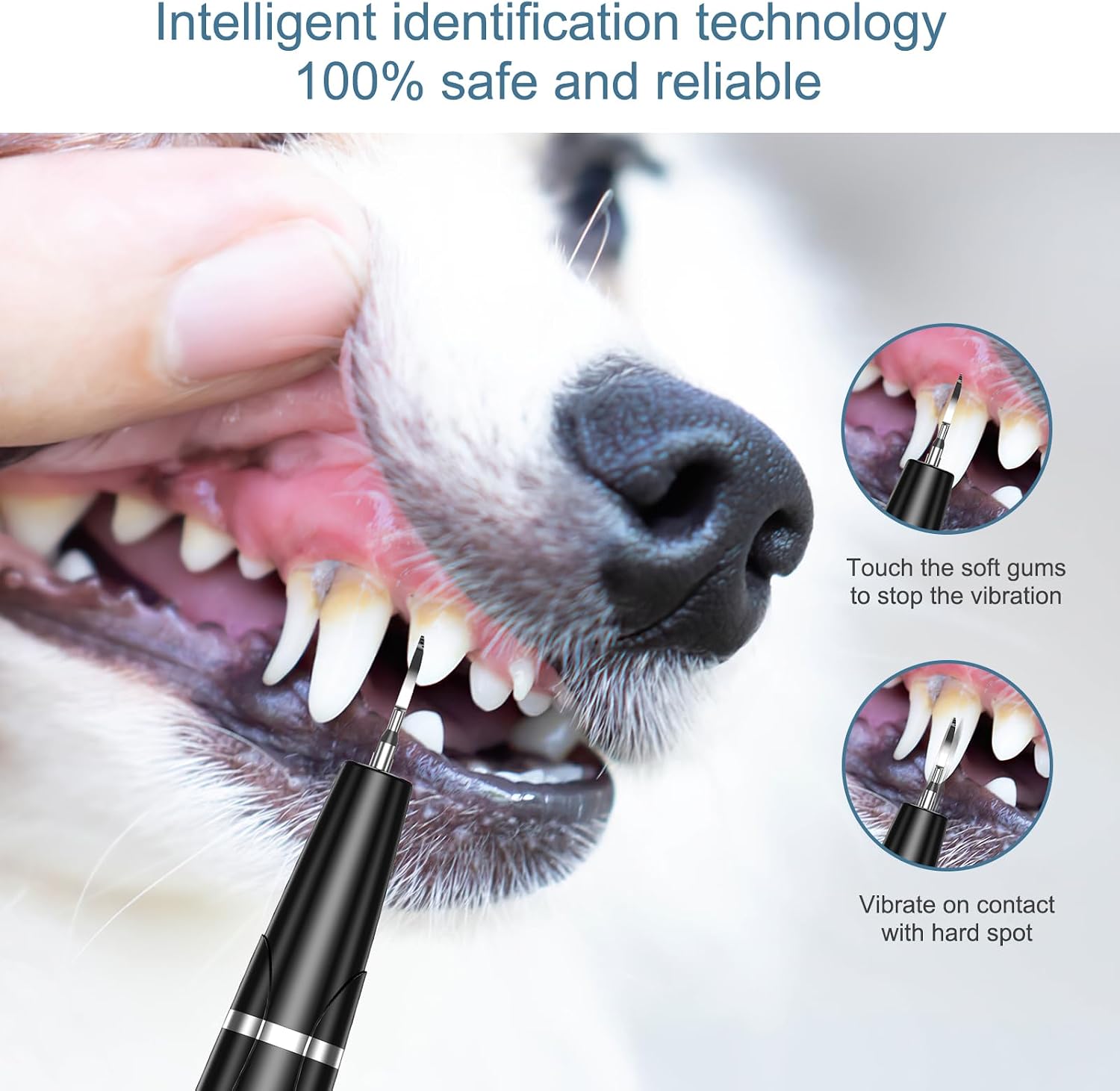 Upgraded Dog Plaque Remover for Teeth, Electric Pet Teeth Cleaning Kit, USB Charging Dog Tooth Brushing Kit, 5 Modes, IPX6 Waterproof Pet Ultrasonic Toothbrush Cleaner for Dogs Cats