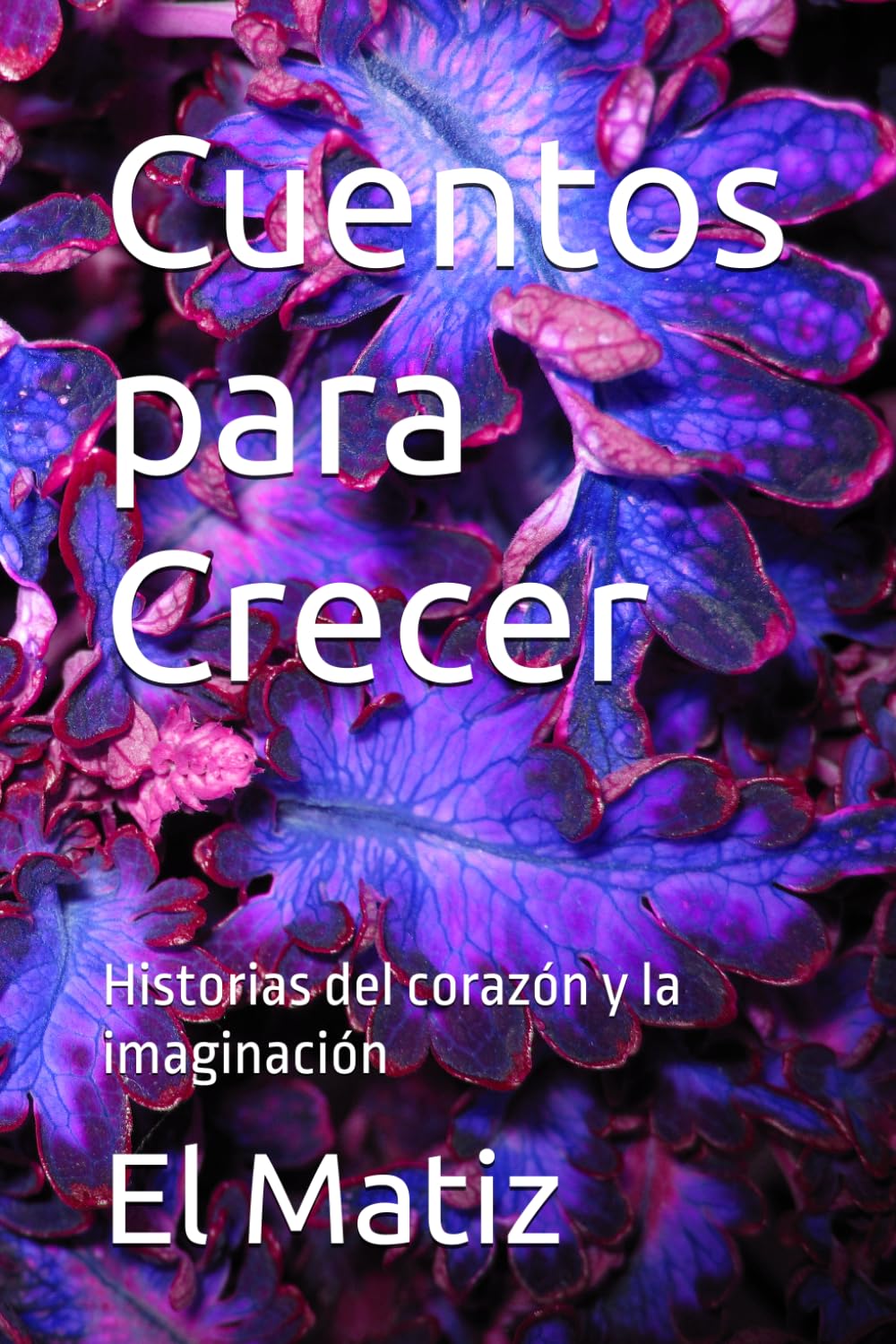 Cuentos para Crecer: Historias del corazón y la imaginación