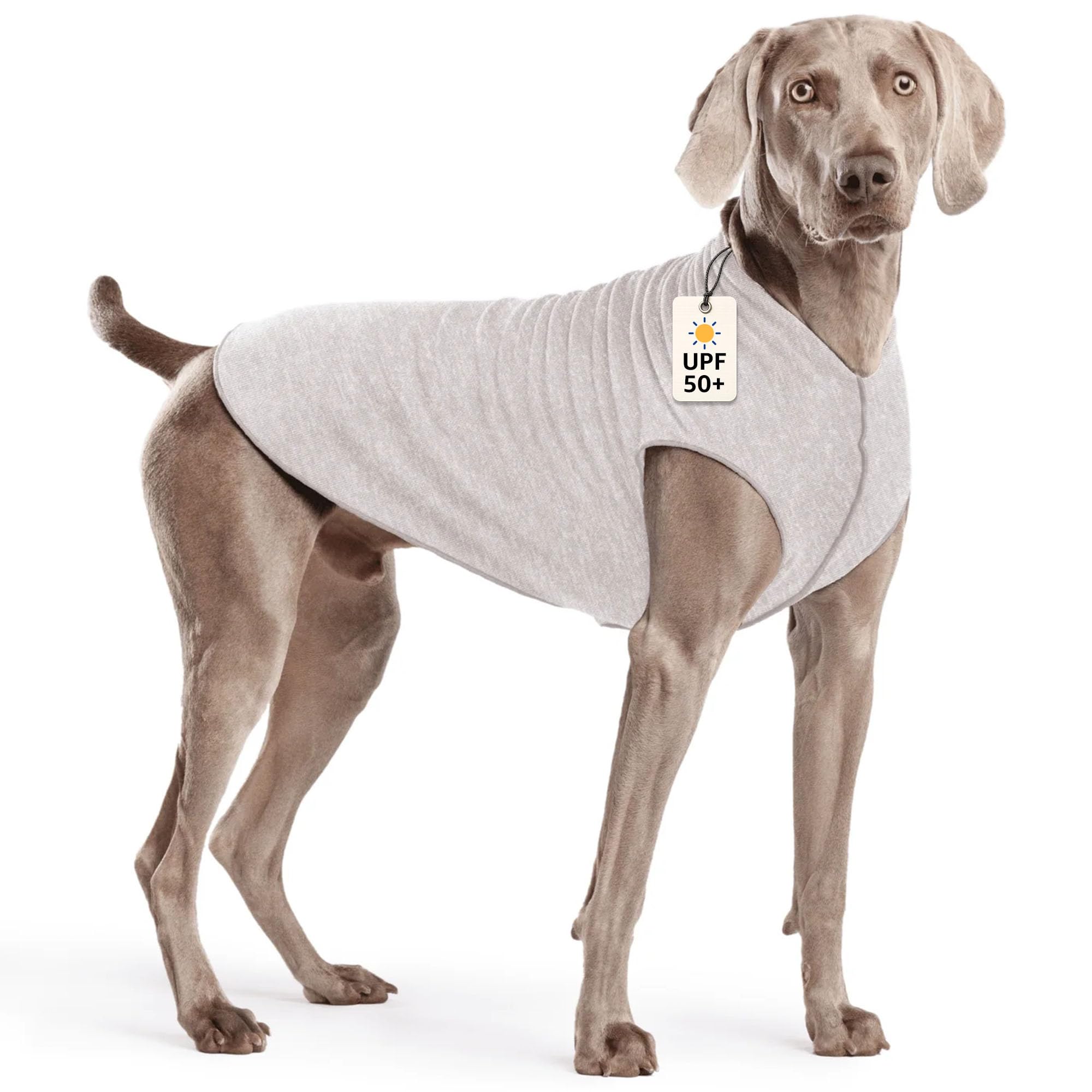 Goldpaw Dog Sun Shirt