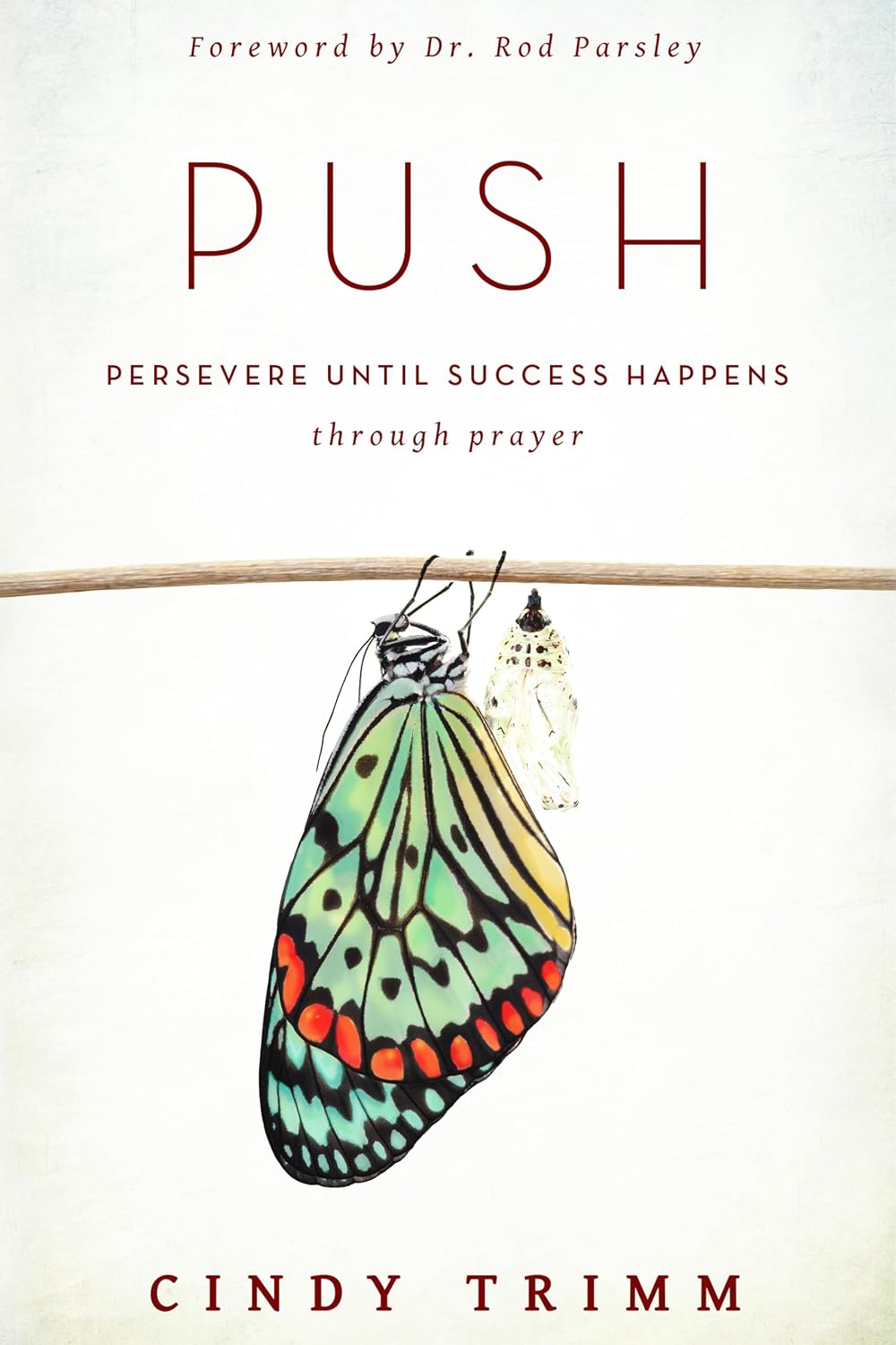 Push Persevere Until Success Happens Through Prayer Trimm, Cindy