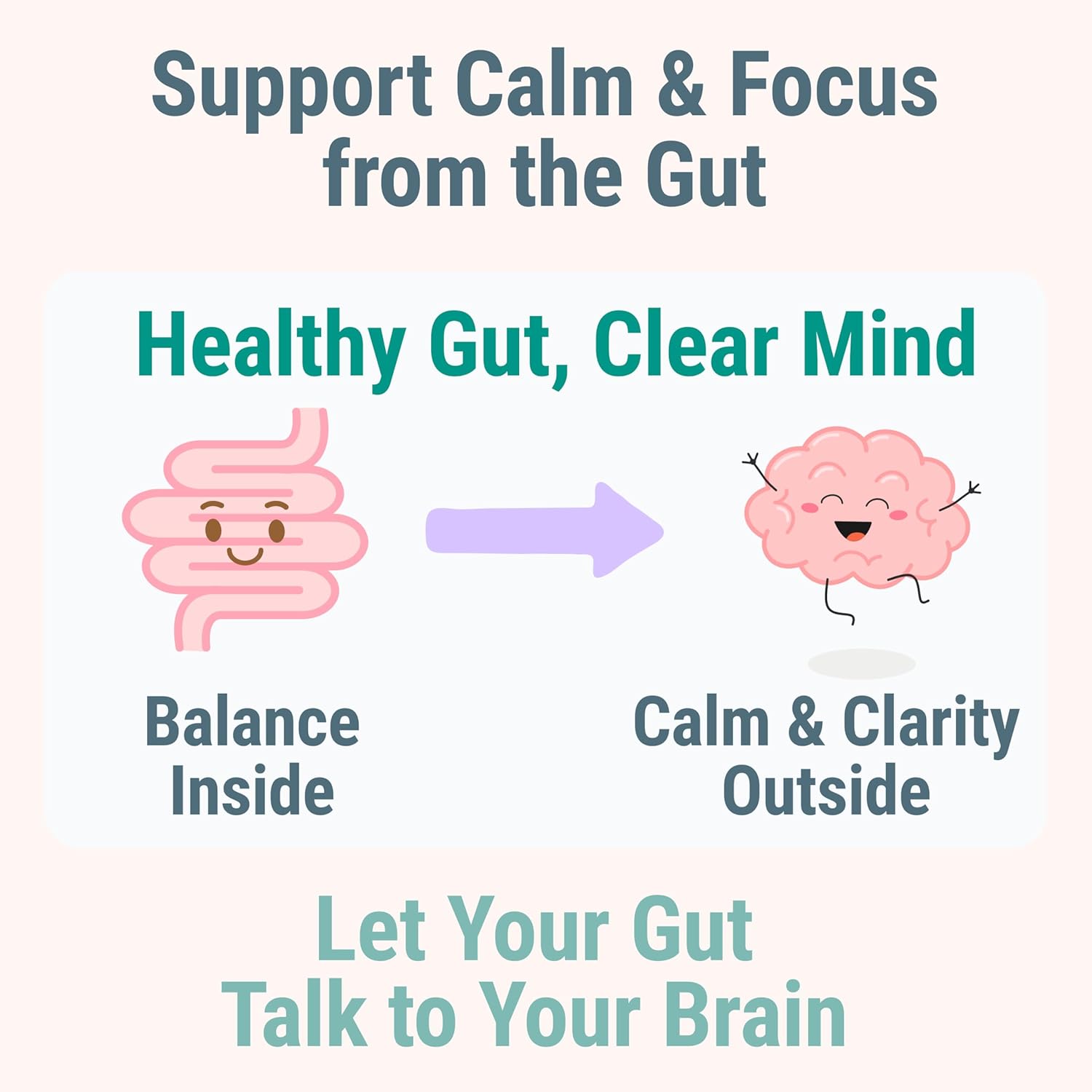 L-Tyrosine L-Theanine Methylated Vitamin B Complex Magnesium Glycinate Probiotic Fiber for Kids Adults Men Women w. Chicory Root Inulin 5-MTHF B12 P5P B6 B9 B5 B3 Powder Capsule Pill Supplement Alt - Image 6