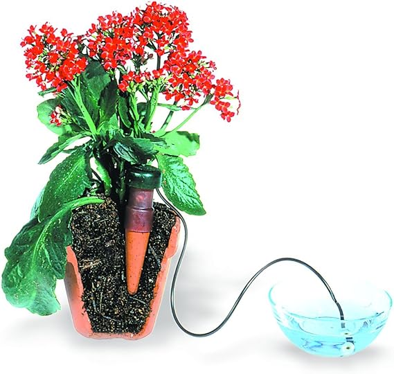 Blumat 12500 Junior Counter Display Box Automatic House Plant Watering, 25-Pack