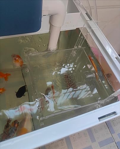 Miniatura 5 de Caja de cría de peces de acrílico, caja de aislamiento de peces de acrílico, separador de peces para acuario, incubadora de incubadora con ventosas