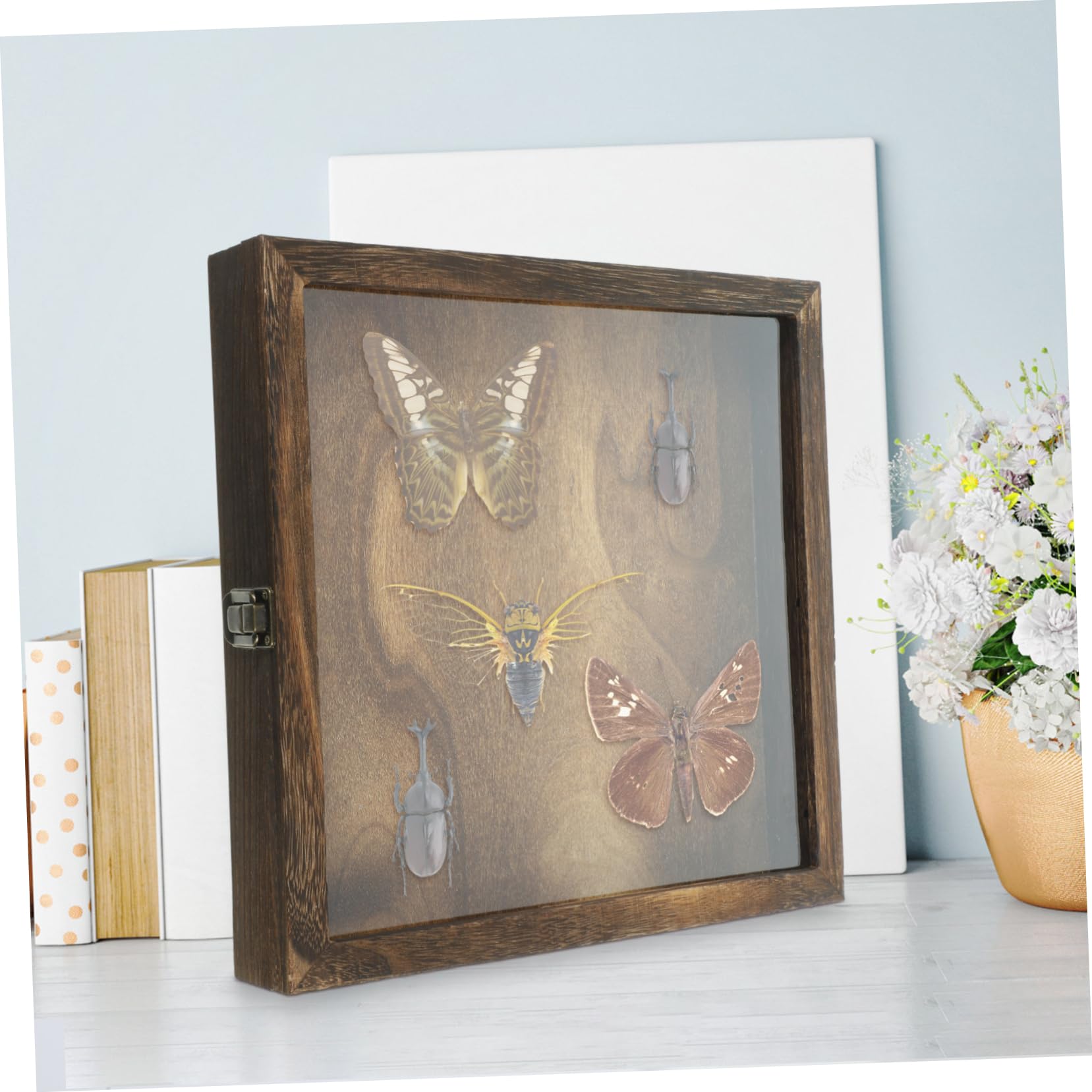 Zerodeko Caja de Exhibición para Insectos Diseño Retro, Gran Capacidad y Estructura Ligera de Acrílico y Madera Adecuado para Colgar Pared Estilo