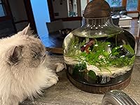 Review Image by Angela M Angela M