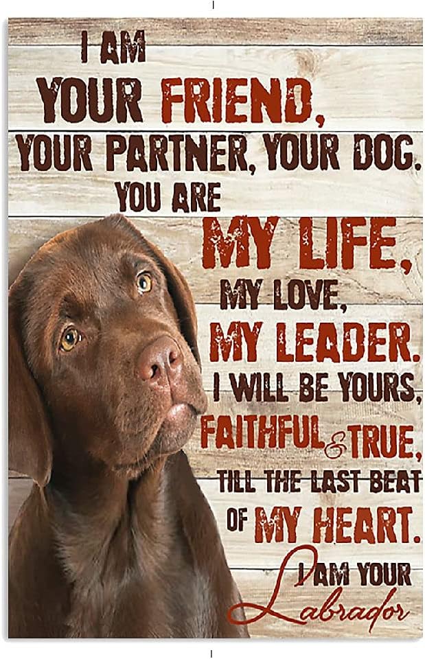 snowsunMetal Tin Sign I Am Your Friend Your Partner Your Dog Chocolate Labrador Aluminum Vintage Sign tin sign Retro for Home Garden Office Wall Decor 8x12 Inches