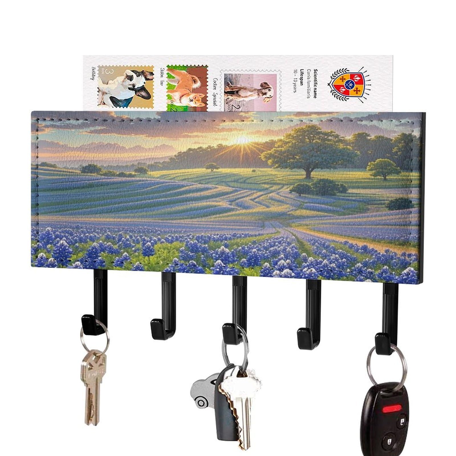 FekiLoot Texas Bluebonnets Scenery Key Holder Wall Mounted Key Hanger with 5 Hooks Hallway Key Rack Decor for Kitchen Entryway Key Hooks PU Leather Key Organizer for Front Door Office