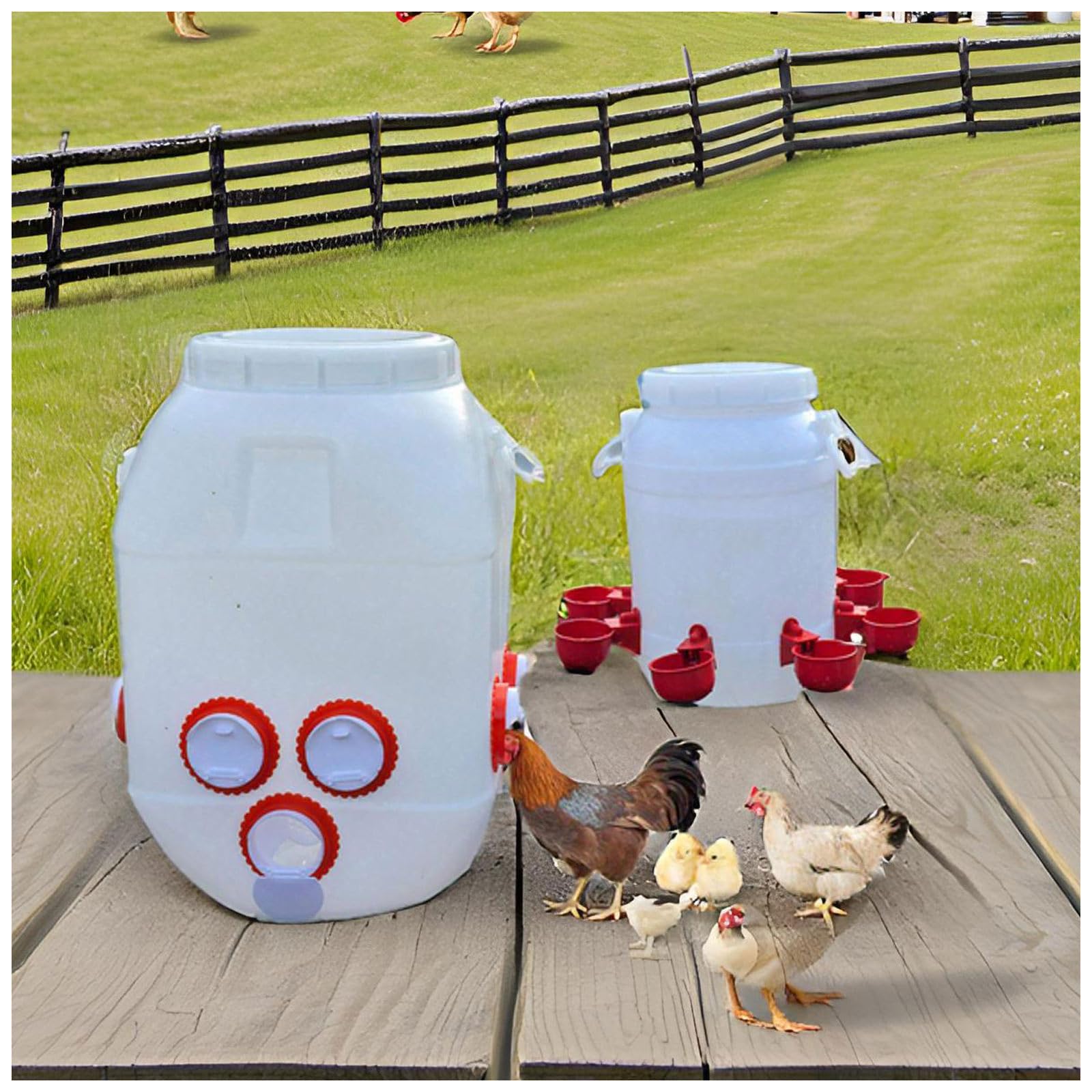 Set Mangiatoia e Abbeveratoio per Galline Polli, Plastica Resistente Alimentatore 50L con 10 Porte, Distributore Acqua 10L con 8 Tazze per Pulcini Anatre Pollame(Color:Bianco)