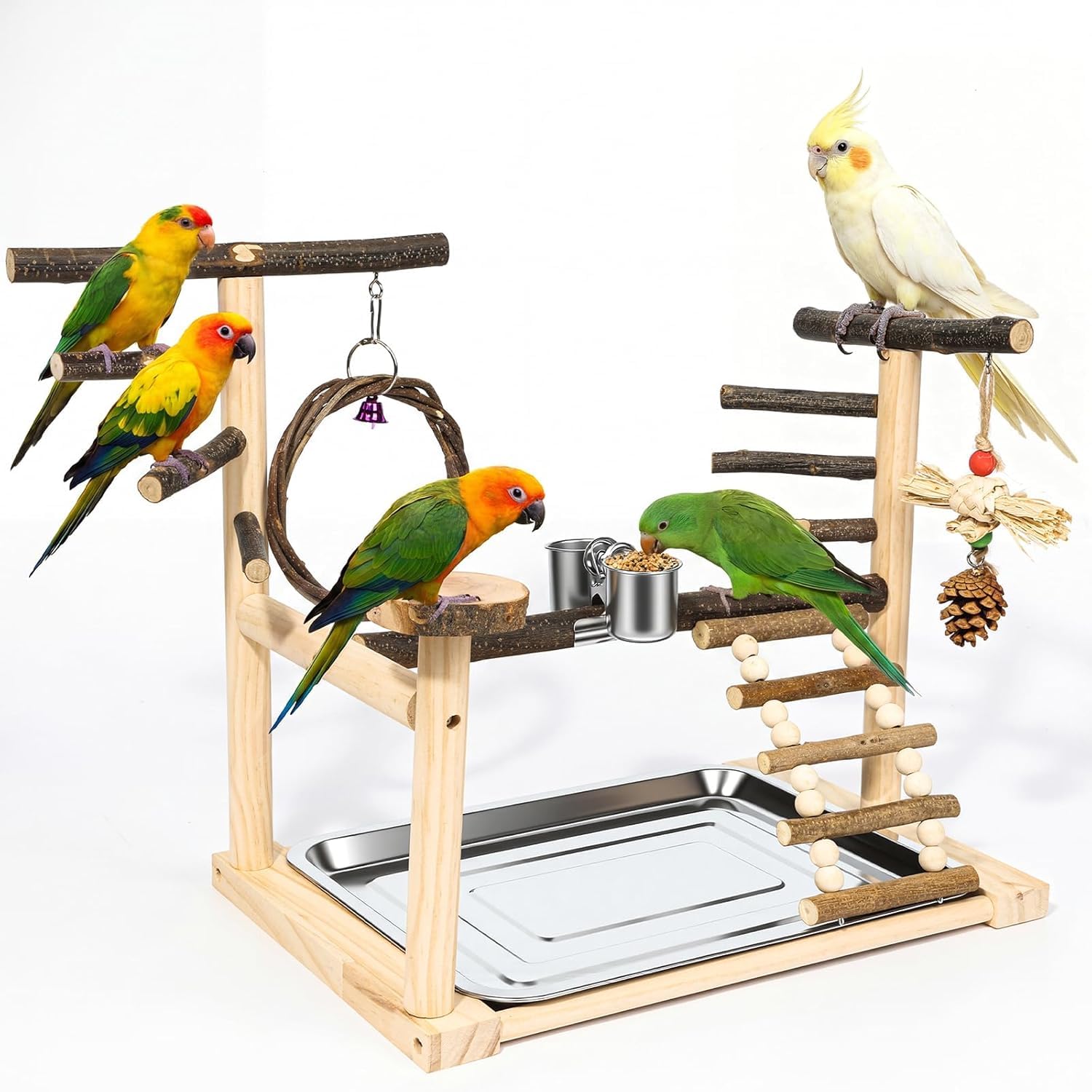 SCETTER Aire de jeux pour oiseaux en bois naturel avec mangeoire