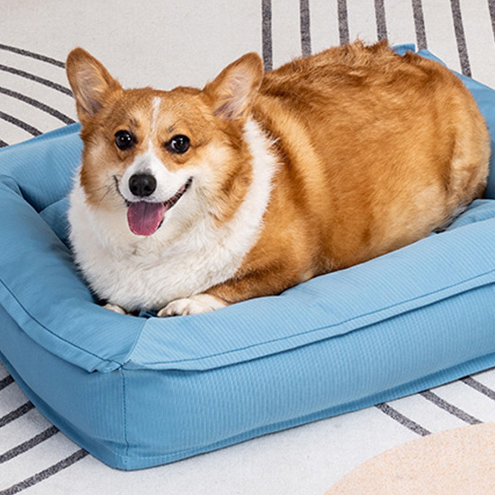Jectse Cama para Perros de Tamaño Mediano, sofá Cama Lavable para Perros Pequeños y Medianos, Cachorros y Gatos, Funda Extraíble, Cómodo sofá con Parte Inferior Antideslizante, Refrescante para