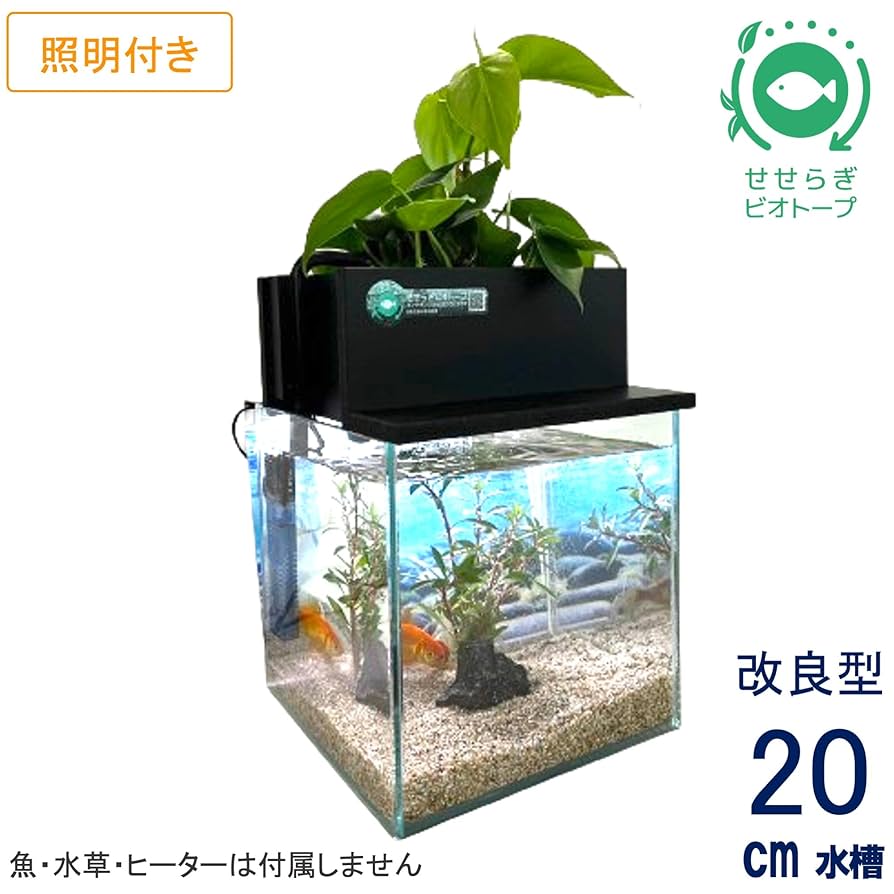 水槽 KM Amazon | せせらぎビオトープ 水替え不要【水槽セット】 20cm型