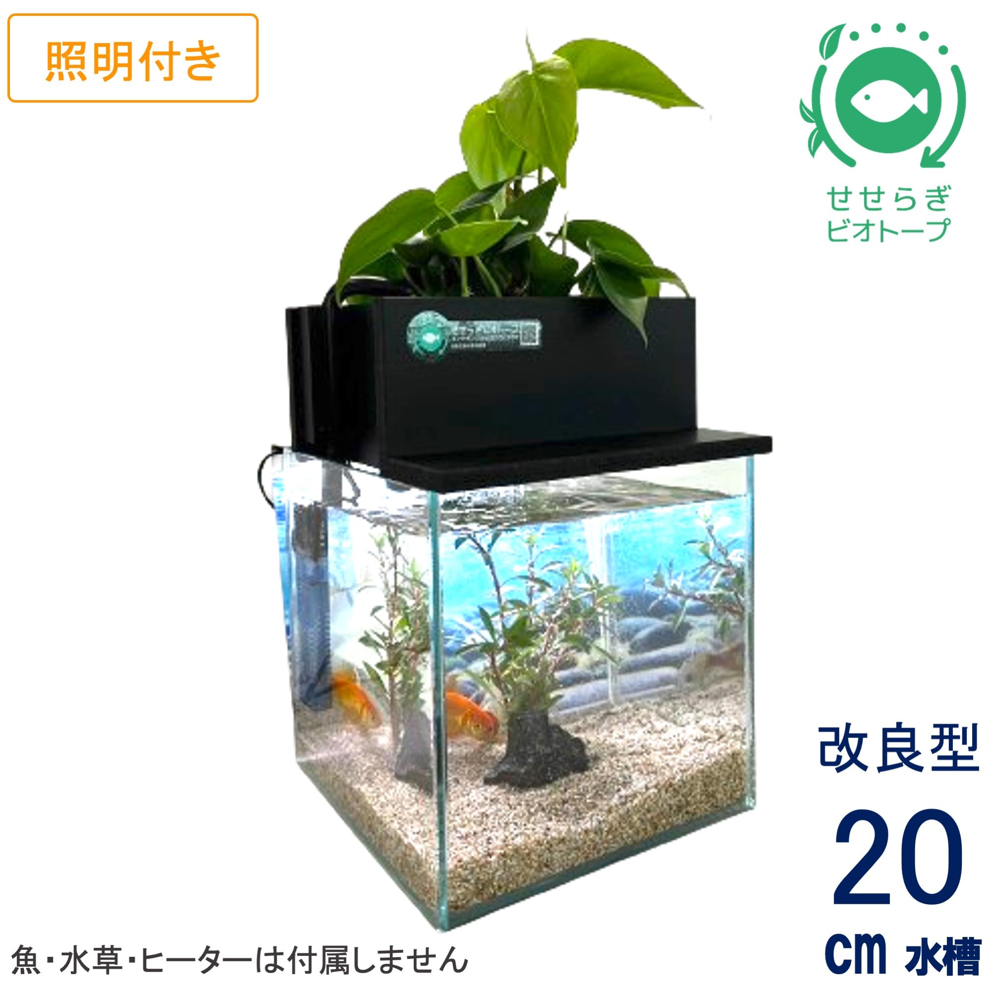 せせらぎビオトープ 水槽セット ブラック Amazon | せせらぎビオトープ 水替え不要【水槽セット】 20cm型