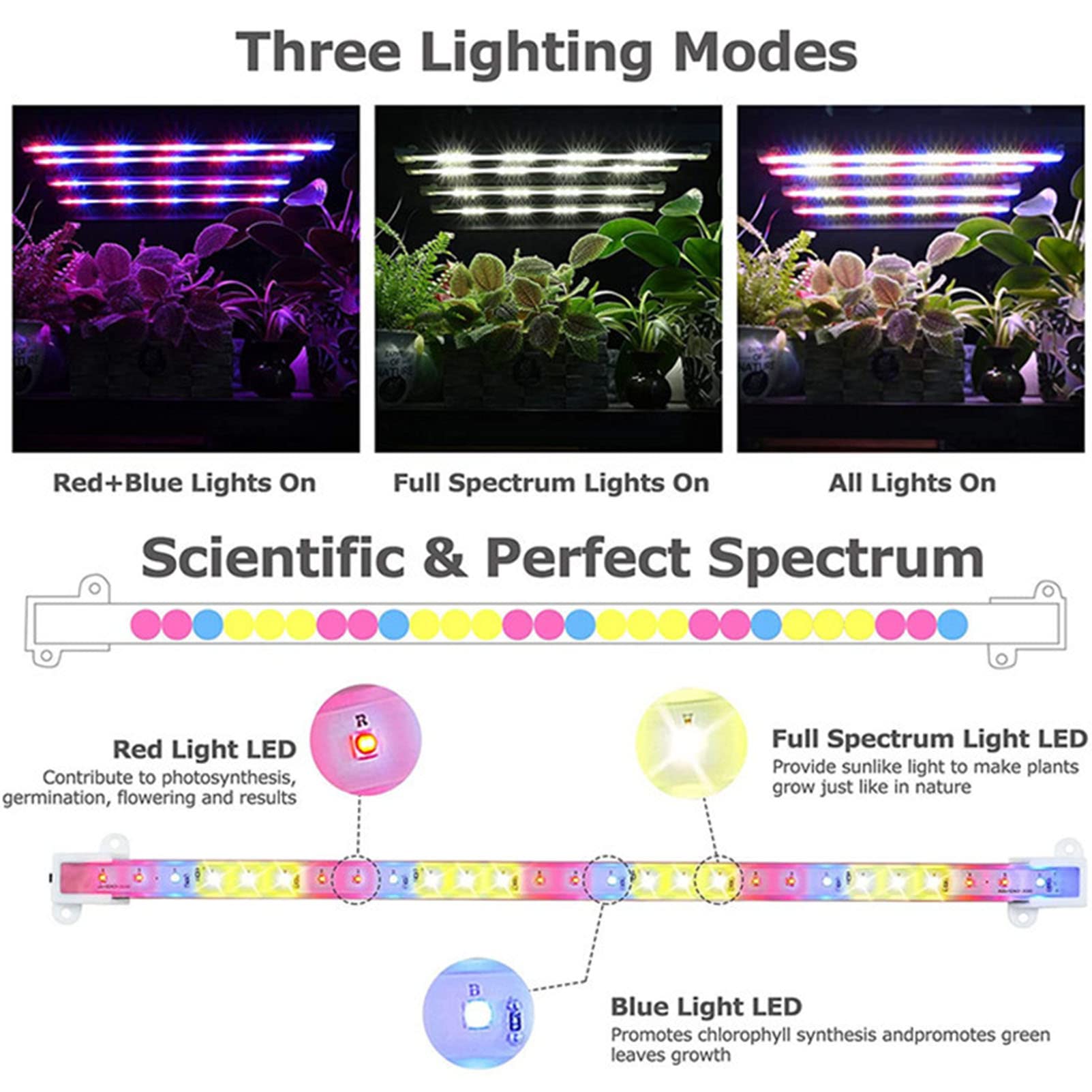 Lampes de Culture LED Bandes Lumineuses pour Plantes d'intérieur Spectre Complet 5 Niveaux à intensité Variable 3H/6H/12H Minuterie Lampe de Culture pour Plantes succulentes hydroponiques