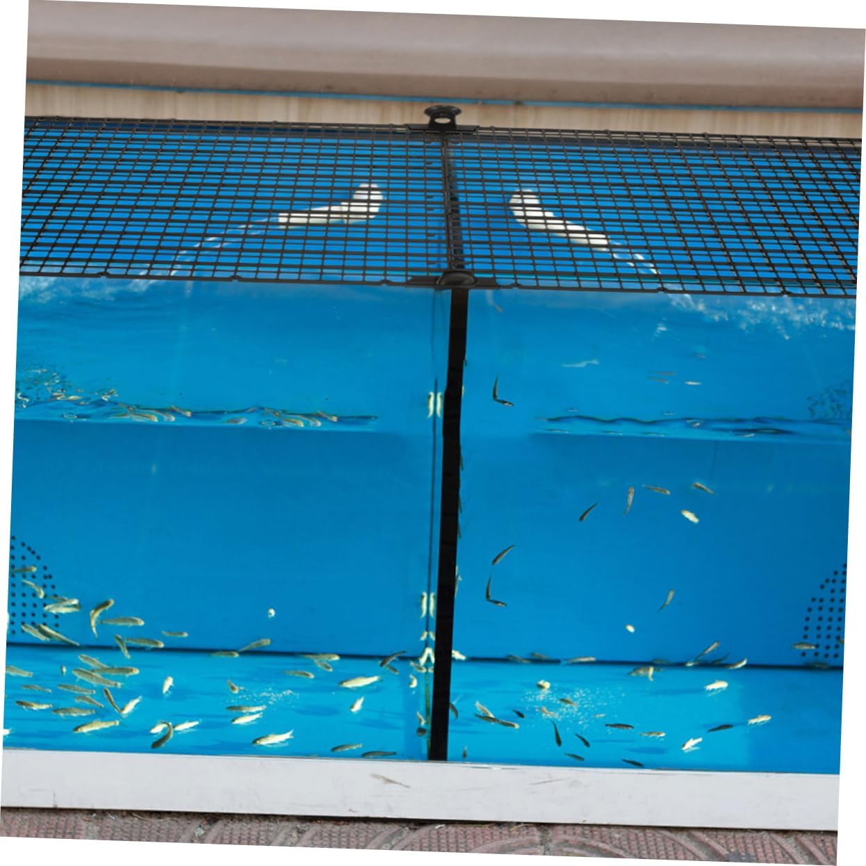 4pcs Aquarium Divider Grid Fish Tank Covers Cups for Jump Prevention Escape Prevention and Easy Installation