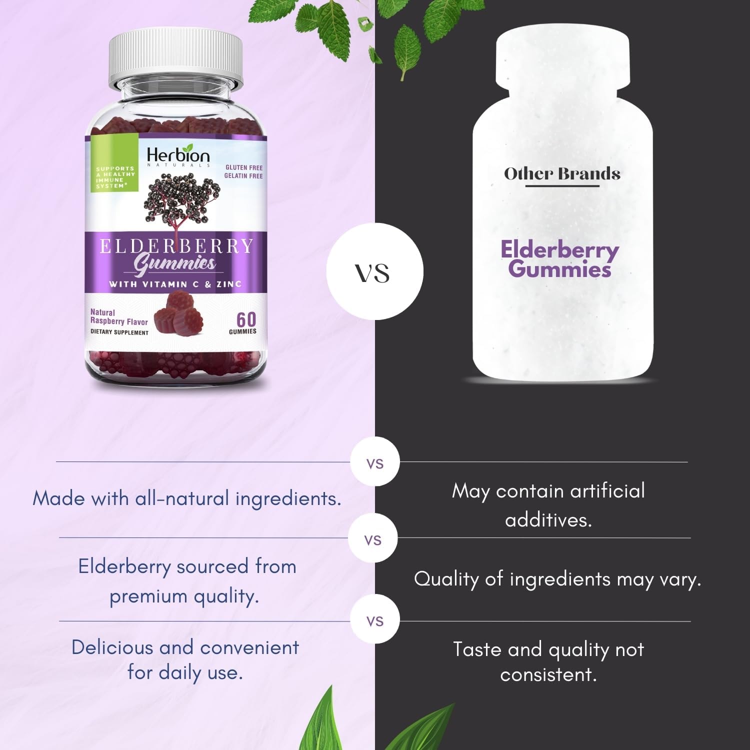 HERBION Elderberry Gummies with Vitamin C & Zinc, Healthy Immune System Support, Gluten-Free & Gelatin-Free, 60 Gummies for Adults & Children 4 Years & Above, Made in USA, Pack of 2