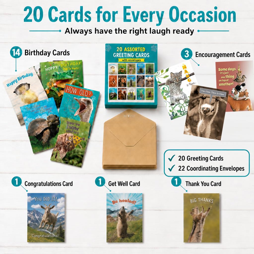 Leanin' Tree, Surtido de tarjetas de felicitación para todas las ocasiones, caja de cartera bellamente diseñada, impresa en papel reciclado con tintas a base de soja, fabricado en los Estados Unidos,