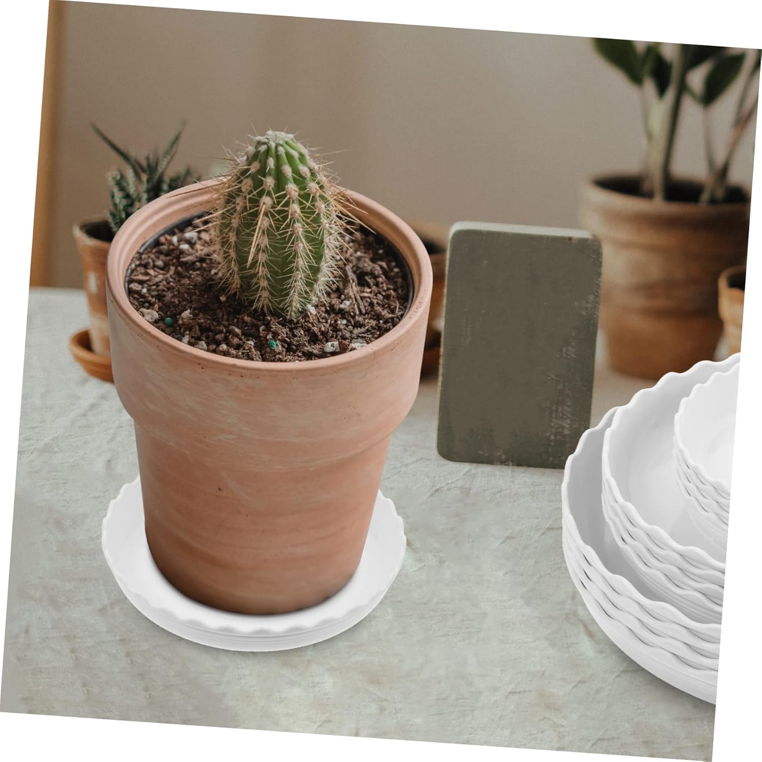 12pcs Plant Pot Drainage Trays Round Plant Saucers Non-Slip Base for Pots