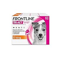 FRONTLINE Triact, 6 Pipette, Cane S (5-10Kg), Antiparassitario per Cani e Cuccioli di Lunga Durata, Protegge il Cane da Pulci, Zecche, Zanzare, Pappataci e Leishmaniosi, Antipulci 6 Pipette