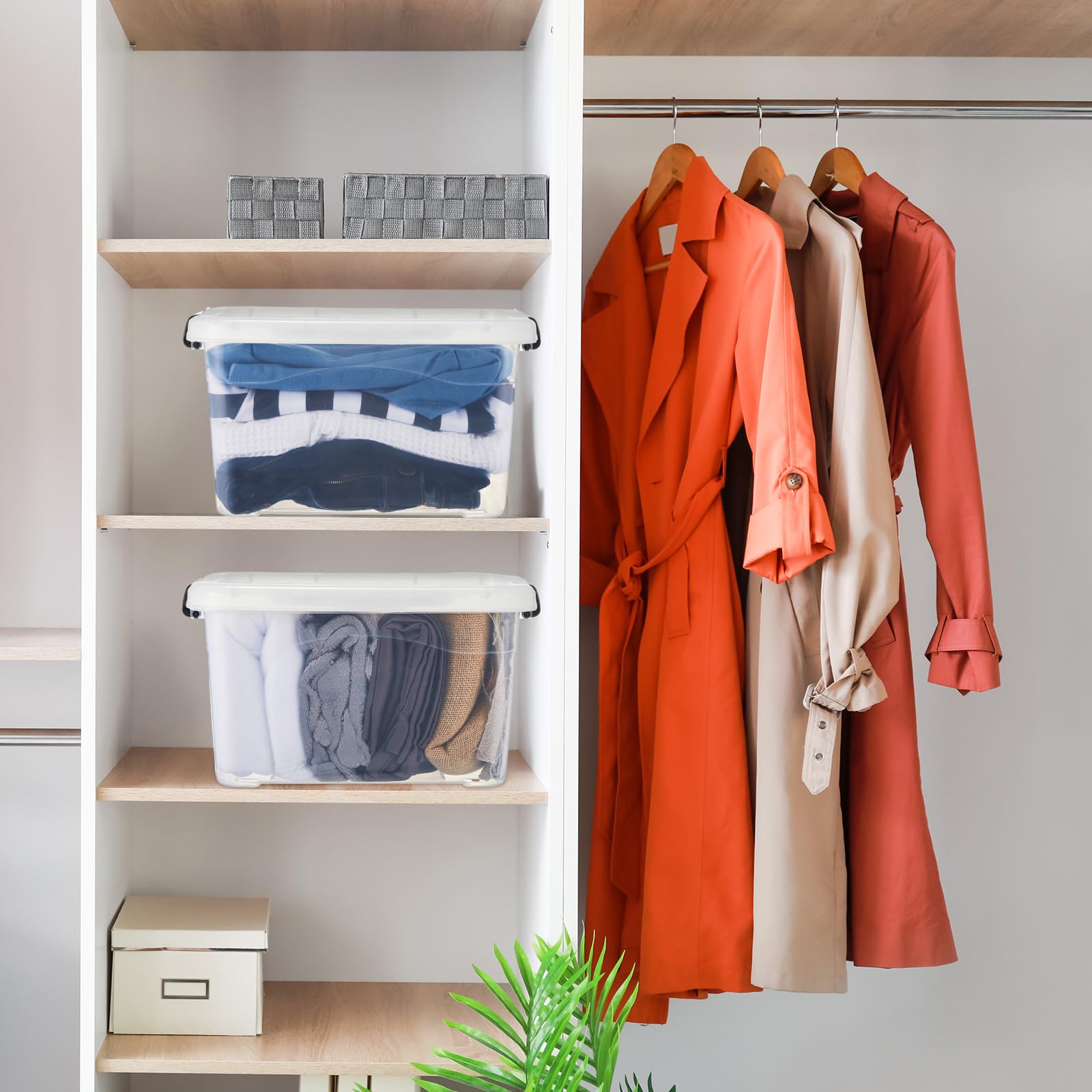 https://m.media-amazon.com/images/I/71tnT-jCp9L.jpg