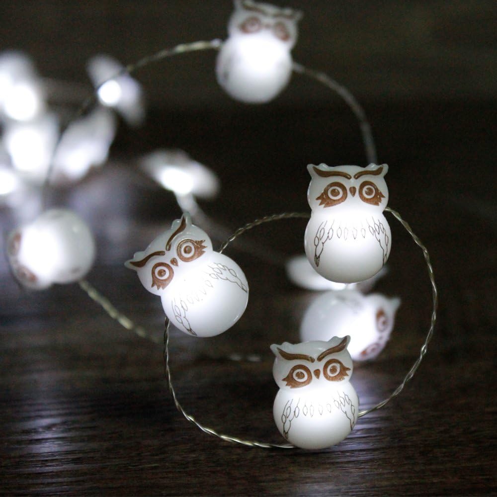 Impress Life Halloween String Lights Decorations, Owl Snow Bird 10 ft Silver Wire 40 LED Battery Operated with Remote for Outdoor Indoor, Christmas Tree Party Haunted Spooky Lights