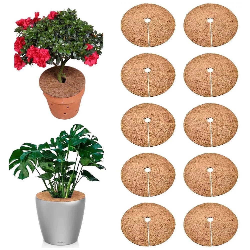 GenericCoconut Fiber Mulch Ring,Tree Plant Protector Mat, 6 Inch Natural Coconut Coir Tree Protection Ring,Natural Coconut-fibers Tree Protection Weed Mats,for Tree Planter Disc Plant Cover (10PCS)
