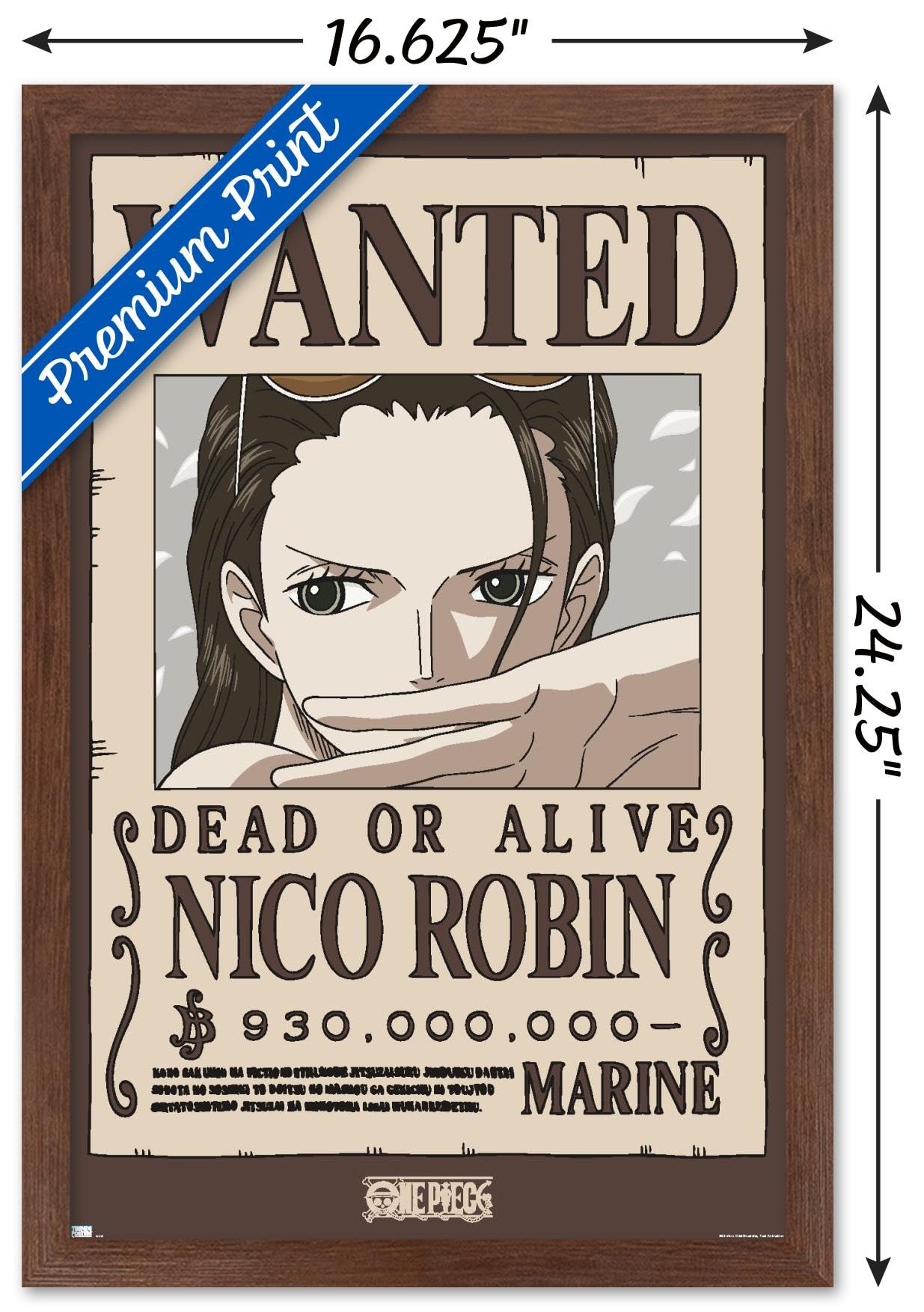 Amazon.com: One Piece - Nico Robin Wanted Poster Wall Poster, 22.4