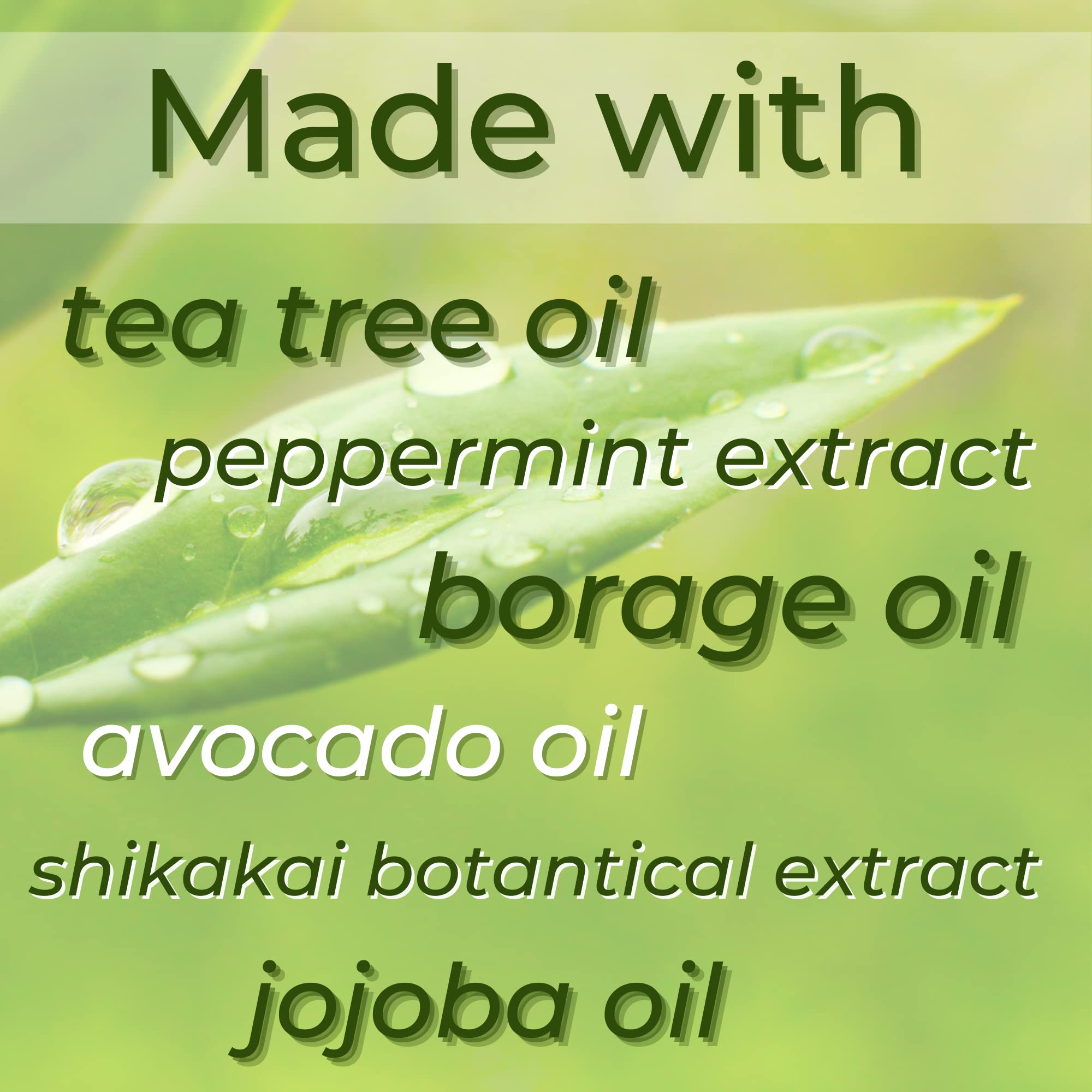 Shikai Tea Tree Conditioner, 24 Oz