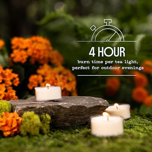 Miniatura 3 de Murphy's Naturals velas de té repelentes de mosquitos – 12