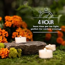 Murphys Naturals Mosquito Bug Repellent Tea Light Candles for Outdoor Patio, Citronella & Essential Oils, 4-Hour Burn Time Each, 12-Pack