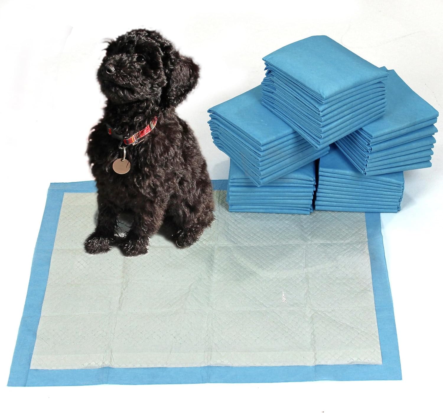 Super Absorbent Puppy Toilet Training Pads Large 60cm x 90cm Easipet