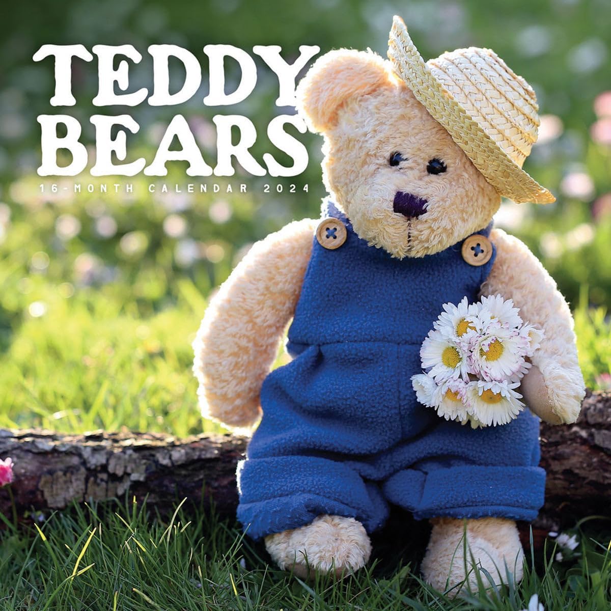Carousel Calendars, Teddy Bears 2024 Wall Calendar