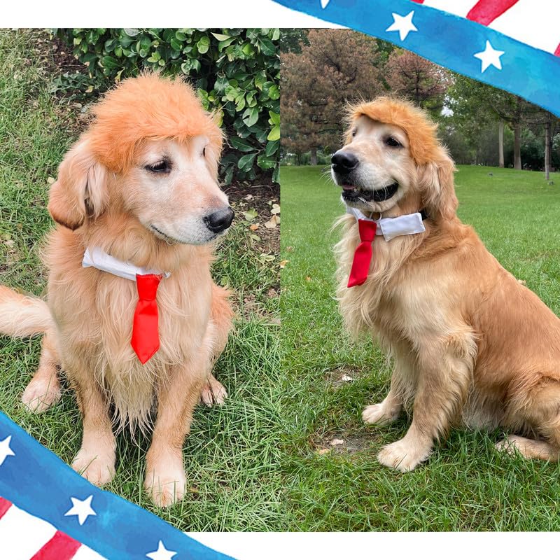 Disfraz para Mascotas Peluca Rubia con Corbata Talla S miniatura 5