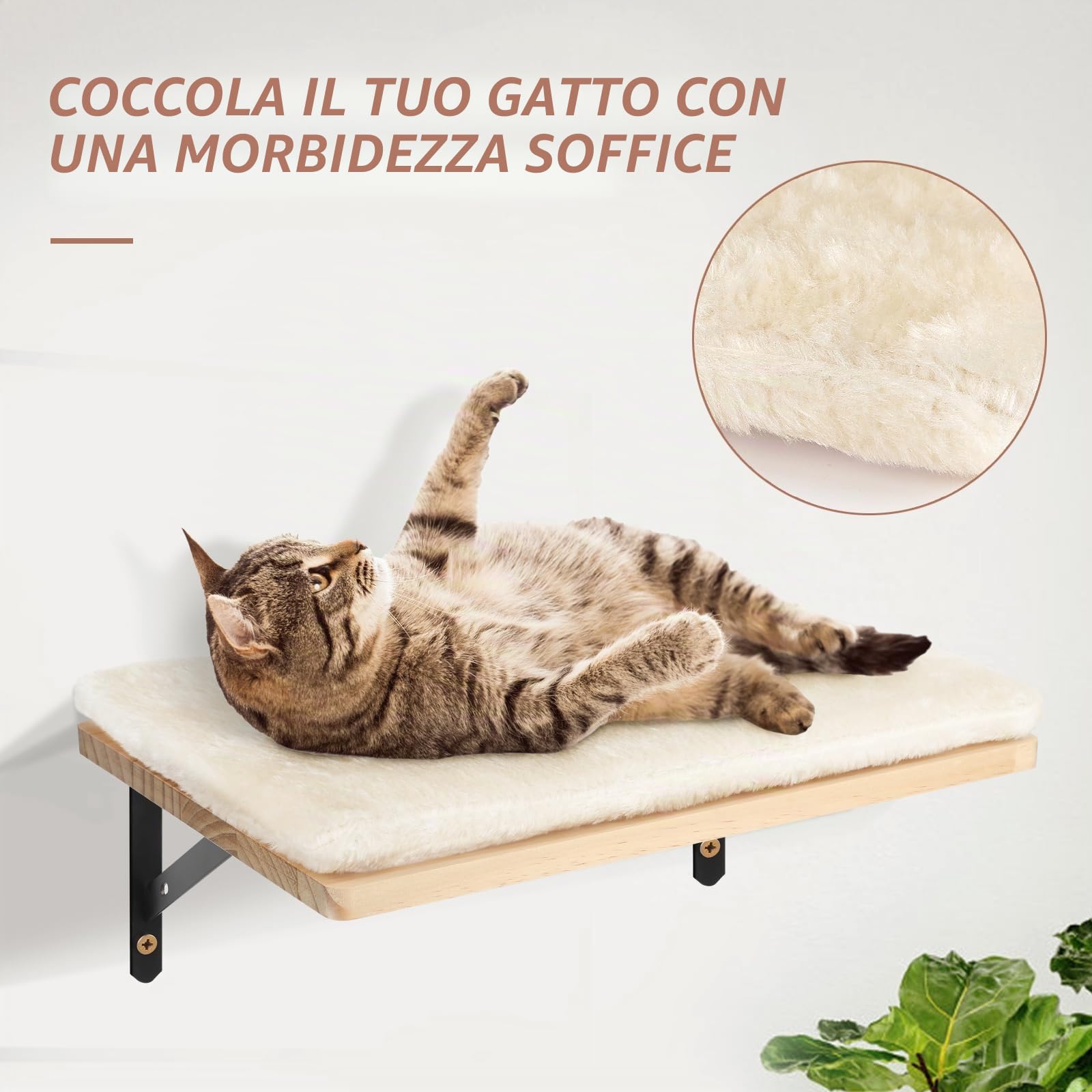Set da parete per gatti con albero di gatto, elementi da parete per gatti, 5 pezzi, in legno massiccio massiccio