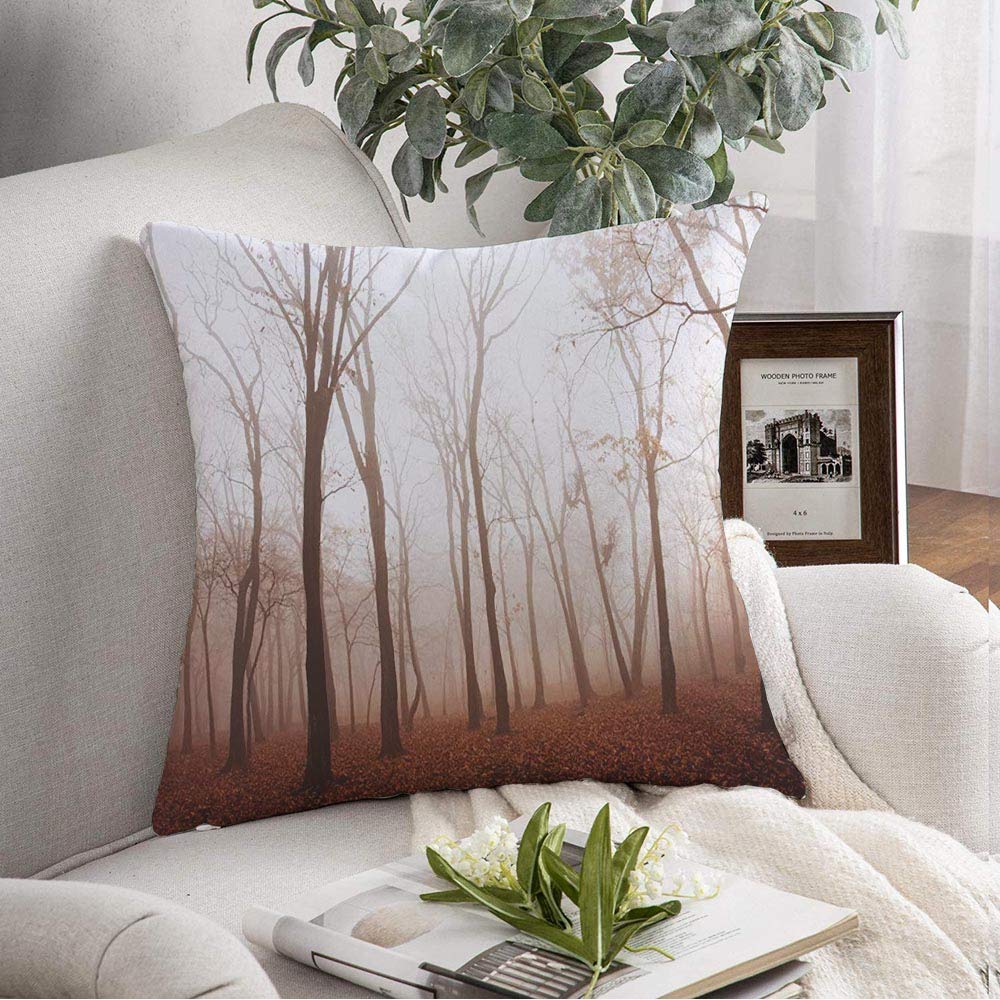 Square Pillow Cover Park Thicket Smok Taiga in Outdoor Mist Season Trees Haze Thick Fog Forest Fall Nature Beautiful Decorative Throw Pillowcase for Couch Bed Car Lving Room 16x16 Inch