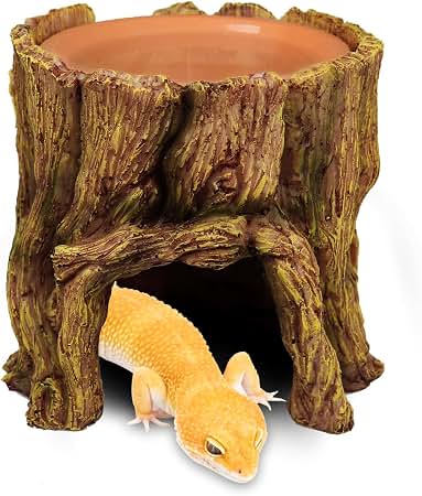 HIDEOUT DAC National Geographic おまけ付 Amazon.com: NANEEZOO Reptile Hide Cave 2 in 1 Reptile Humid Cave