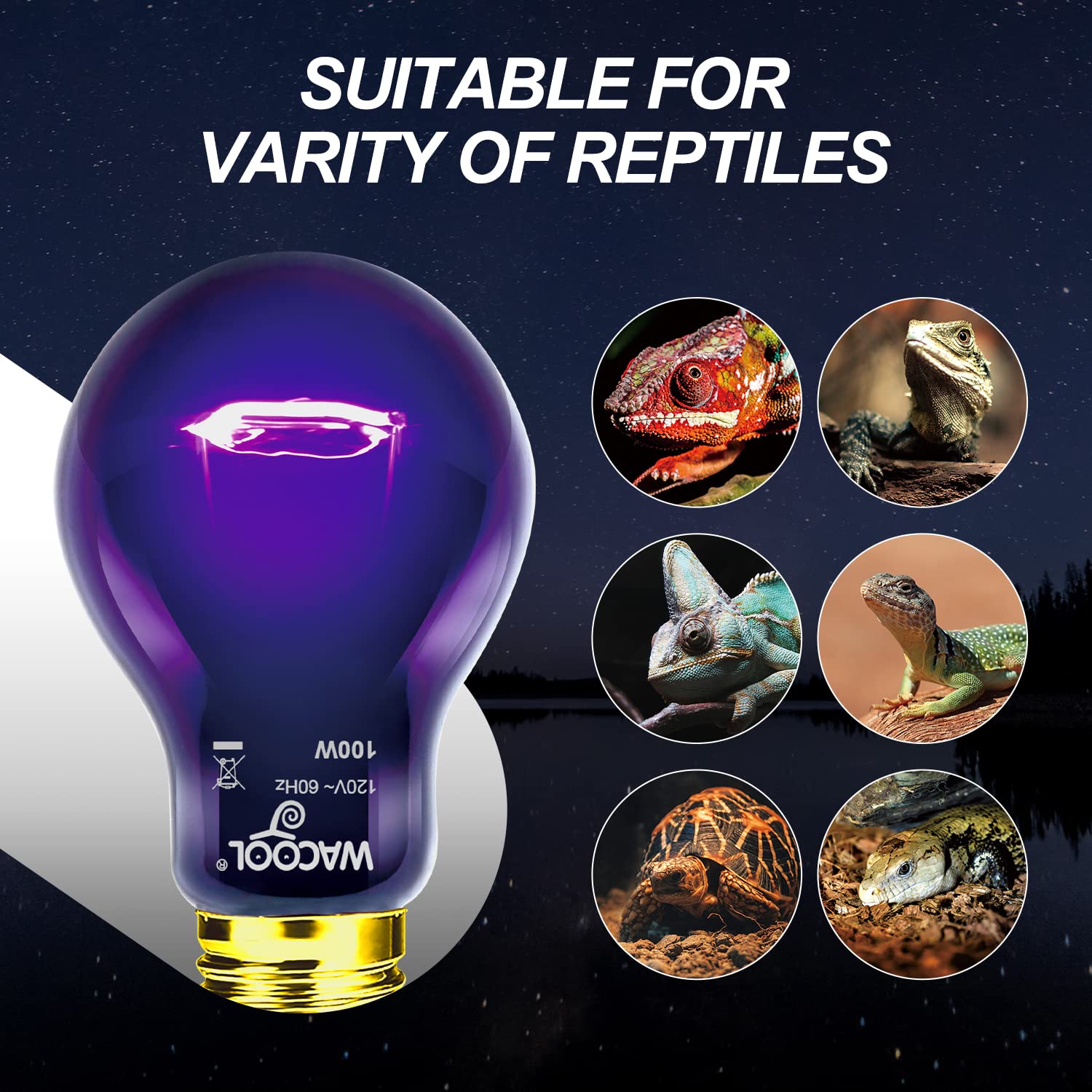 WACOOL 4Pack Reptile Night Heat Lamp, 100W Night Heat Lamp for Reptiles & Amphibians,Simulate Nature Moonlight Purple Night Light for Bearded Dragon Lizard Snake Crab… - image 6