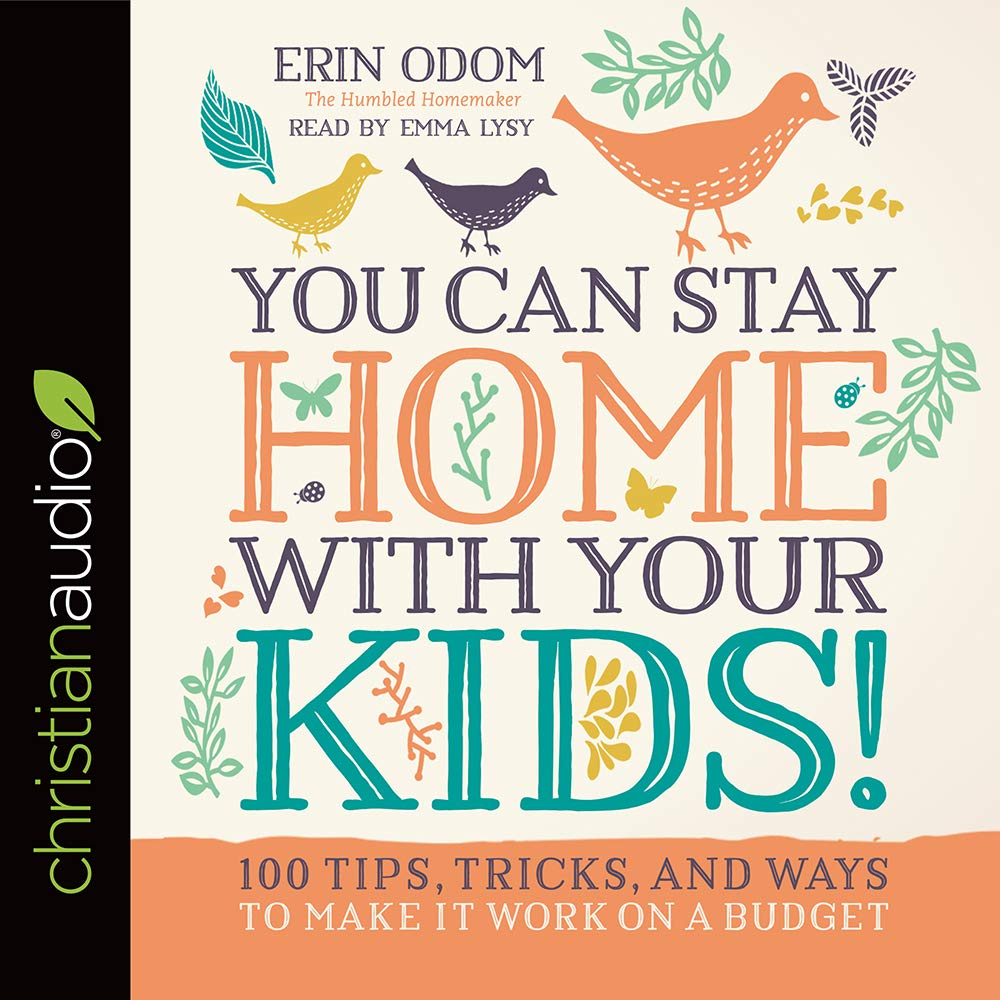 Cover art for You Can Stay Home with Your Kids!