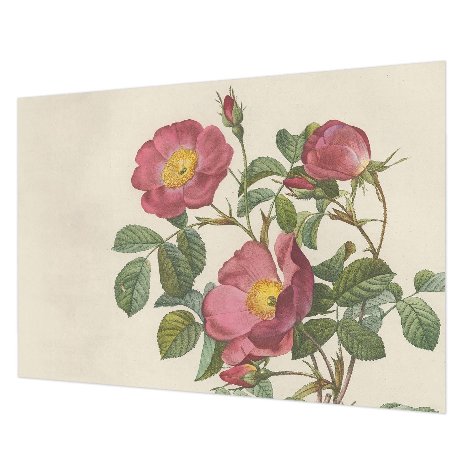 Papier peint décoratif facile à nettoyer avec impression haute qualité