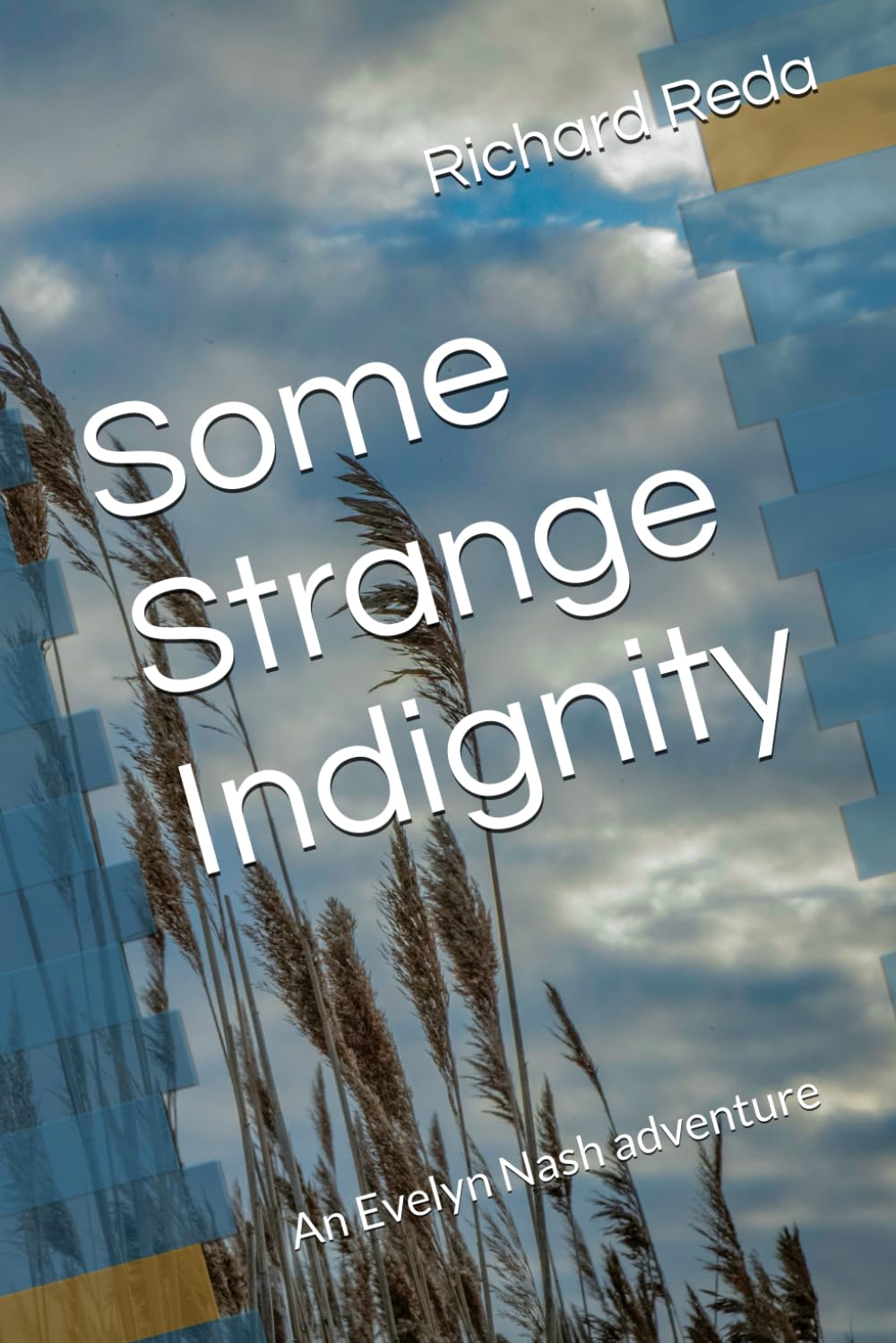 Some Strange Indignity: An Evelyn Nash adventure