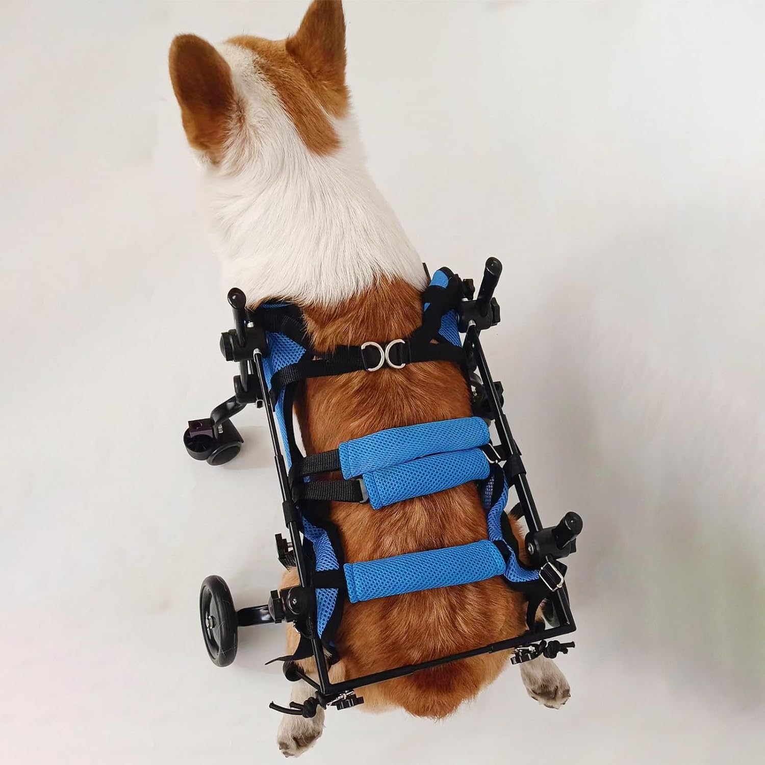 Dog Wheelchair Little Dog 4 Wheel Wheelchair All Four Legs, Puppy/Cat Bike Trailer Small Size Dog, Adjustable Doggie Assisted Walking Device, for Chihuahua(Size S)