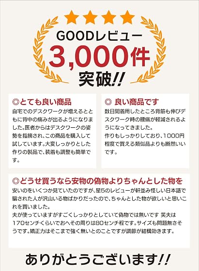トリプルエス 柔道整復師が考えた 姿勢サポーターの商品画像