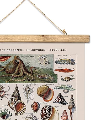 Miniatura 71 de XIAOAIKA Póster de botánica vintage con marco de madera, tabla de plantas venenosas antiguas, arte educativo botánico con especies peligrosas, 1