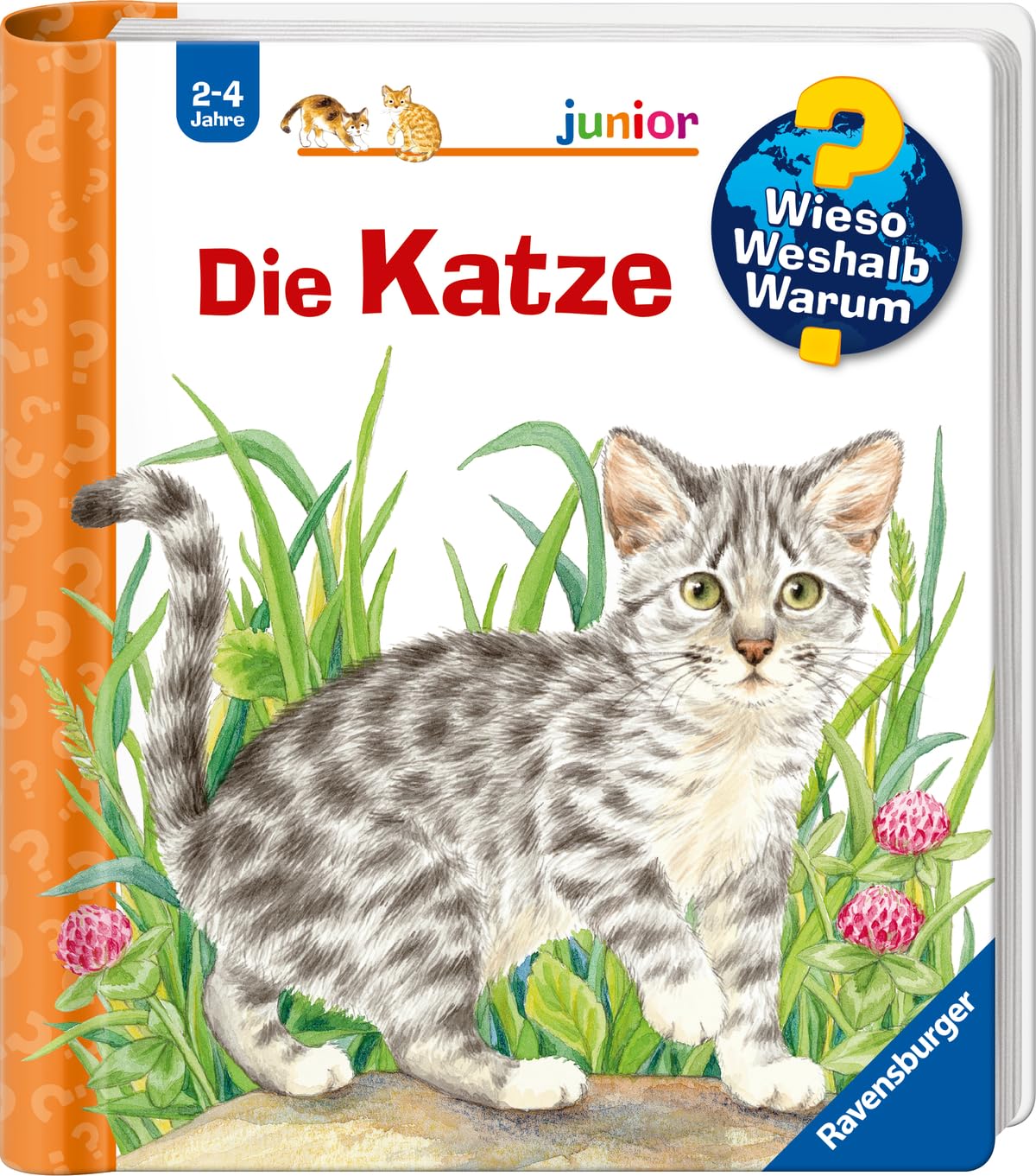 Wieso? Weshalb? Warum? junior, Band 21: Die Katze
