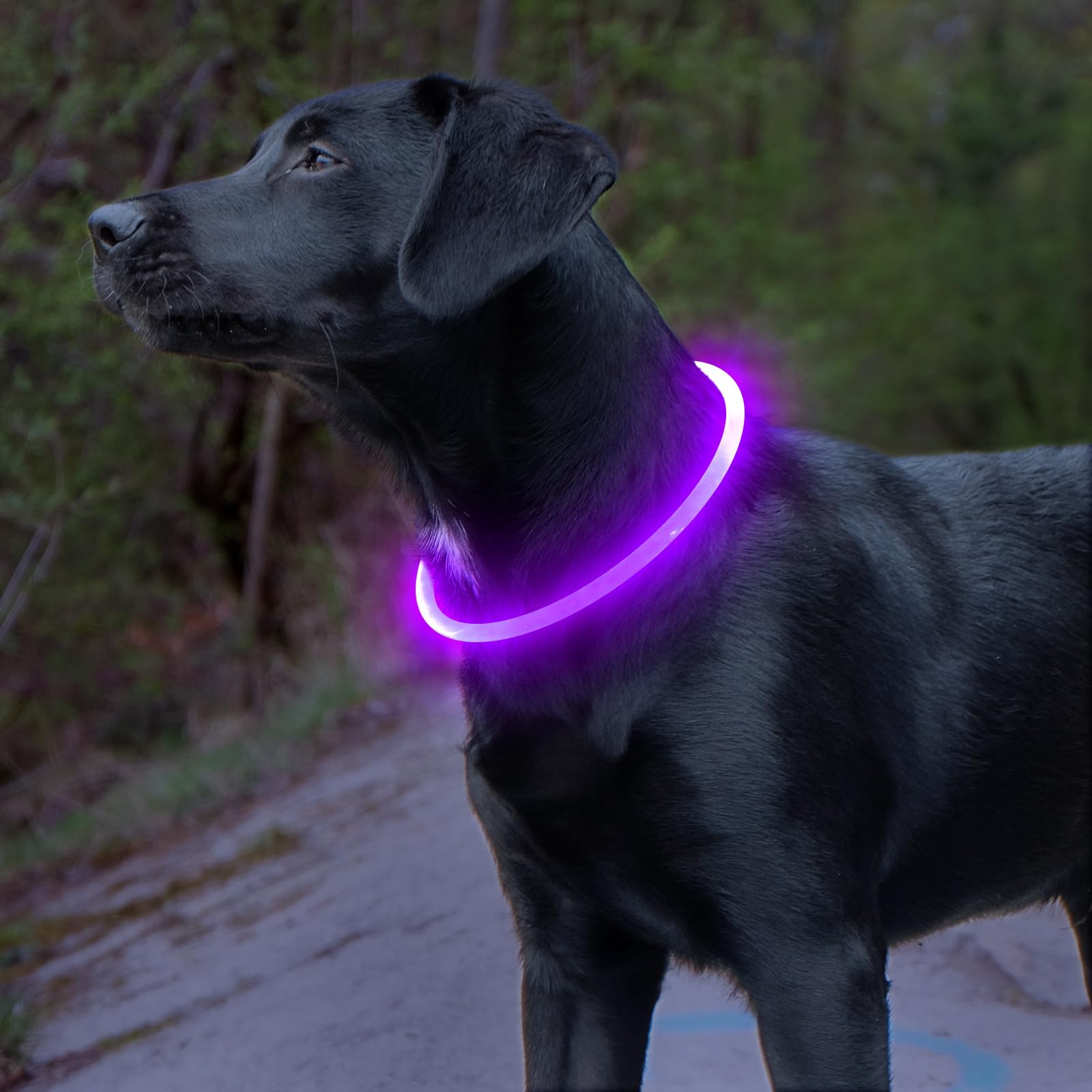 BSEEN - Collare luminoso per cani, ricaricabile tramite USB, con flash, collare di sicurezza per animali domestici, rende i tuoi amati cani visibili di notte per cani di taglia piccola, media e grande