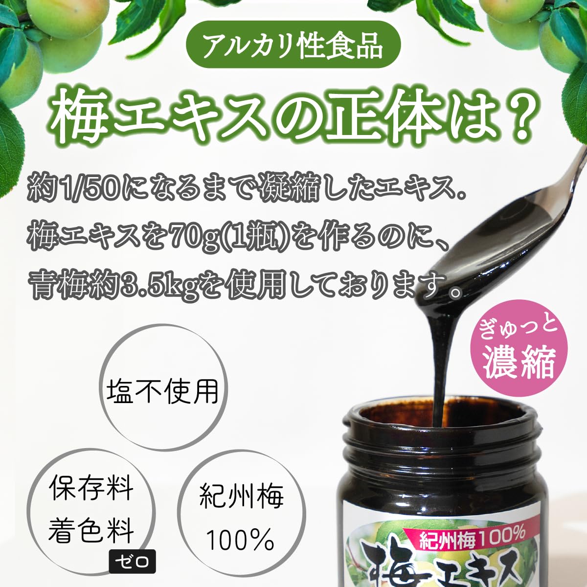 Amazon.co.jp: 梅エキス 70g (1個) 梅肉エキス 濃縮エキス 紀州産南高