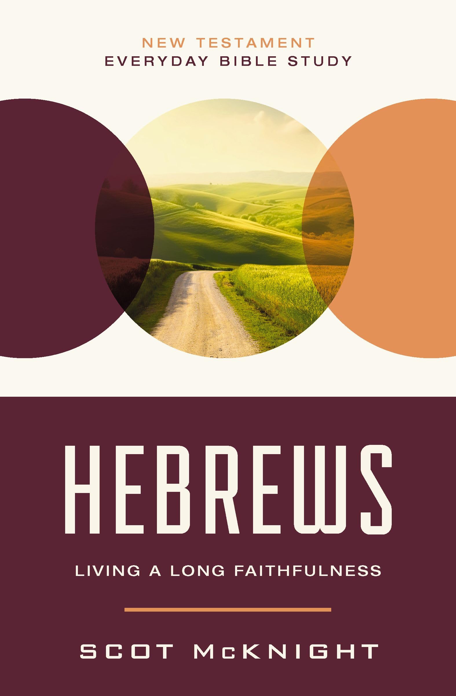 Hebrews (New Testament Everyday Bible Study Series)