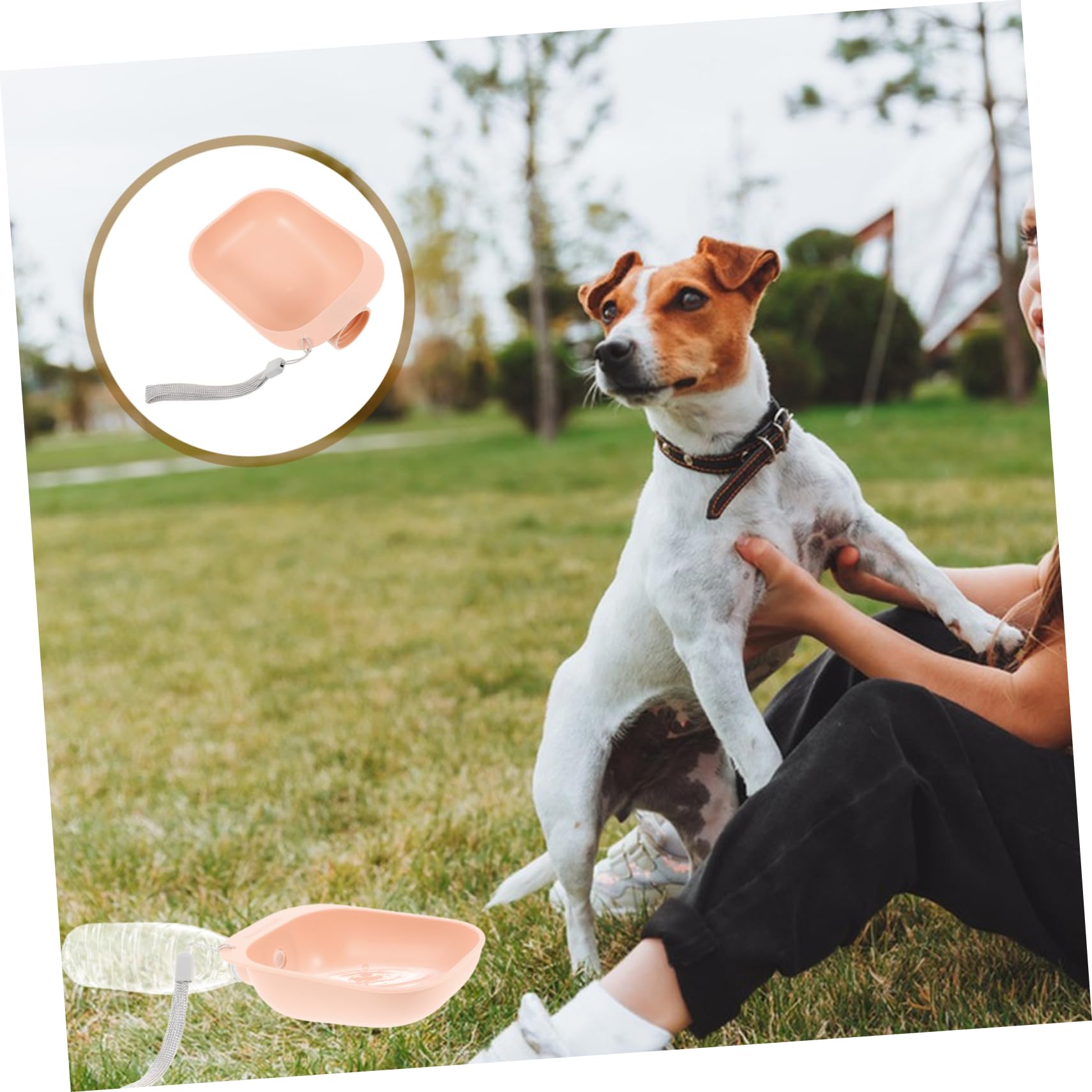 GALPADA Portable Pet Water Bowl for Connects to Mineral Water Bottles Space Saving Design Durable Material Leak Dog Water Dispenser for Go Hydration