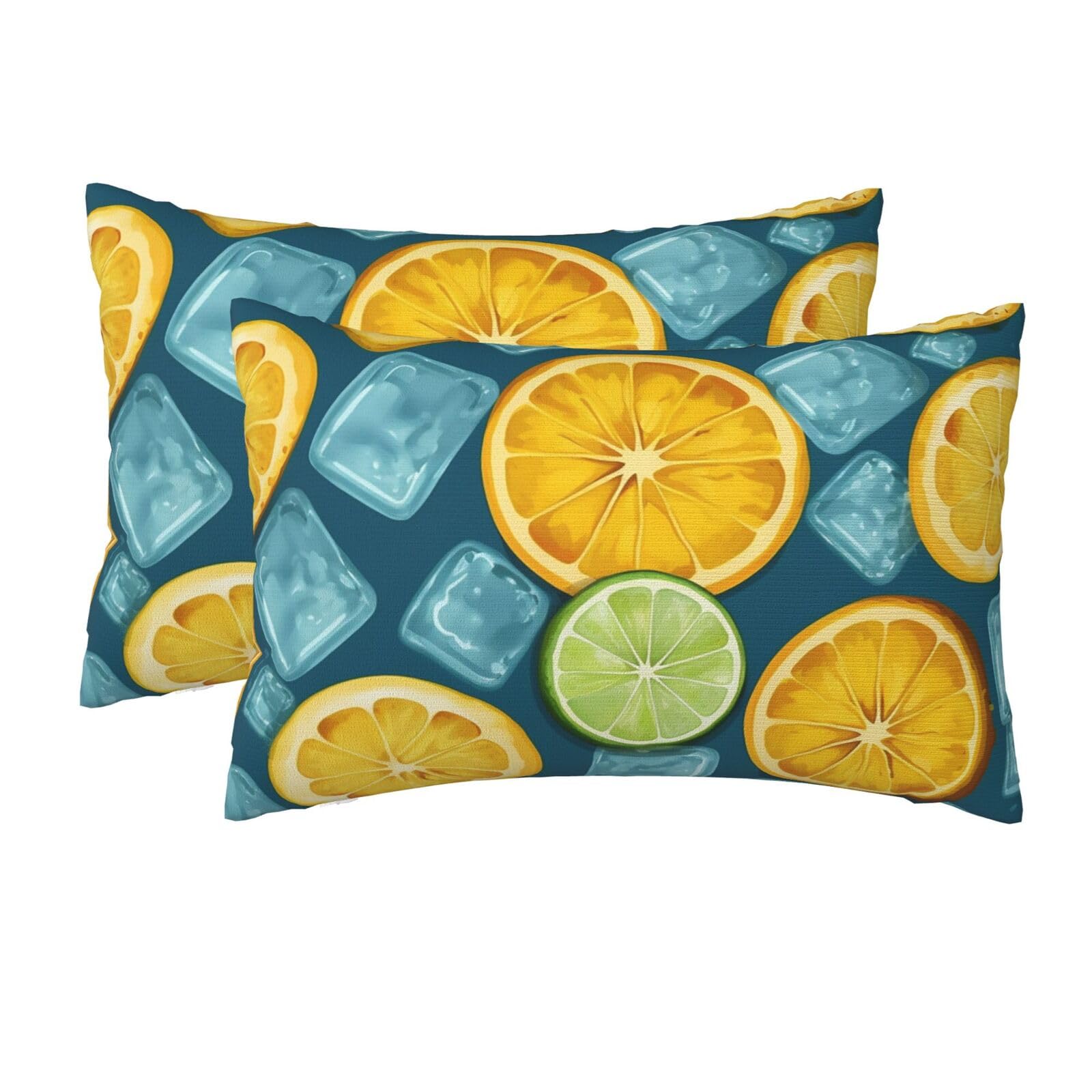 2 Pack Queen Size Pillow Cases for Hair and Skin Soft Breathable Pillow Case Covers with Hidden Zipper Ice Cubes and Lemon Pillowcase 20x30 Inches Pillow Cover for Sleeping Gift