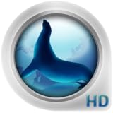 Ocean Browser 2.0